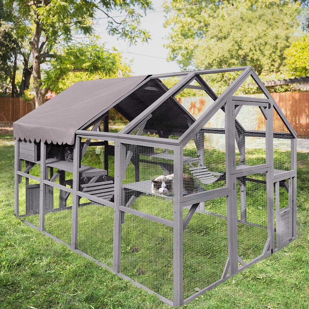 2026 Outdoor Cat Run: Large Cat Enclosure