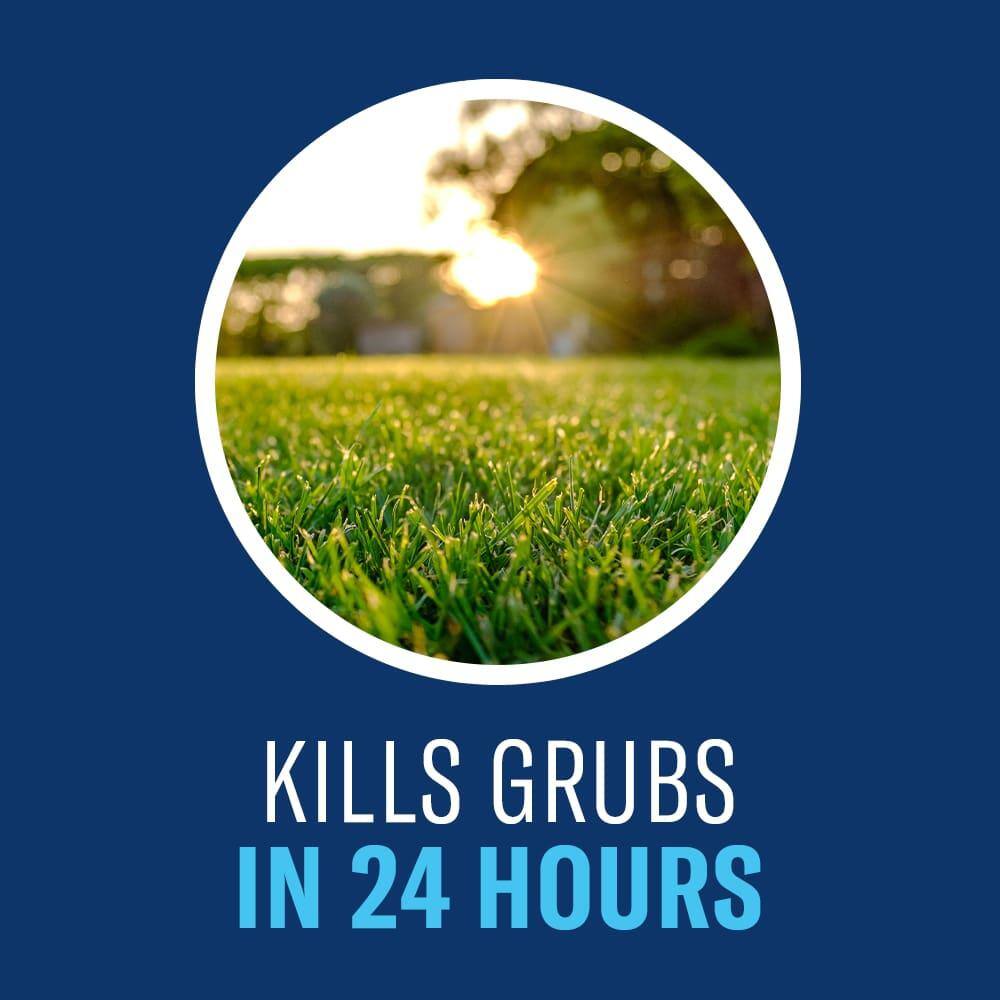 2026 BIOADVANCED 10 lb. 24-Hour Grub Killer Plus Granules