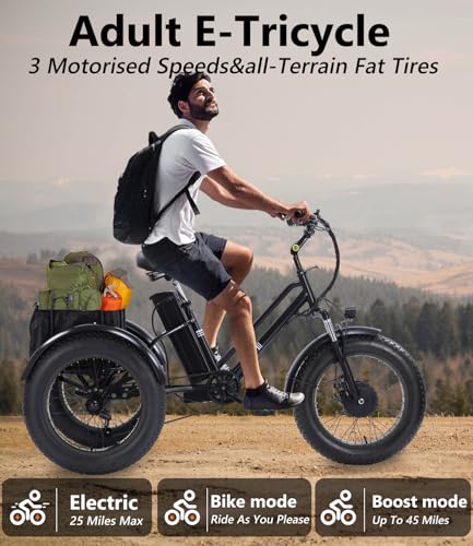 2026 Adult Electric Tricycle Adult Tricycle 3 Wheel Bikes Adults Electric Three Wheel Bike