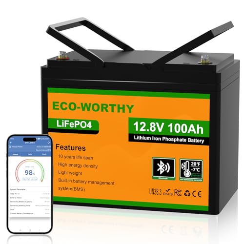 2026 ECO-WORTHY 12V 100AH LiFePO4 Lithium Battery with Bluetooth, Max.1280Wh Energy, Low Temperature Protection, Group 24, Built-in 100A BMS, Perfect for Trolling Motor, RV, Boat, Solar Off-Grid