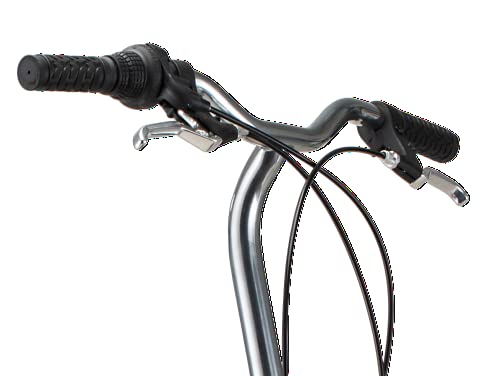 2026 Schwinn Loop Adult Folding Bike for Men and Women, 20-inch Wheels, 7-Speed Drivetrain
