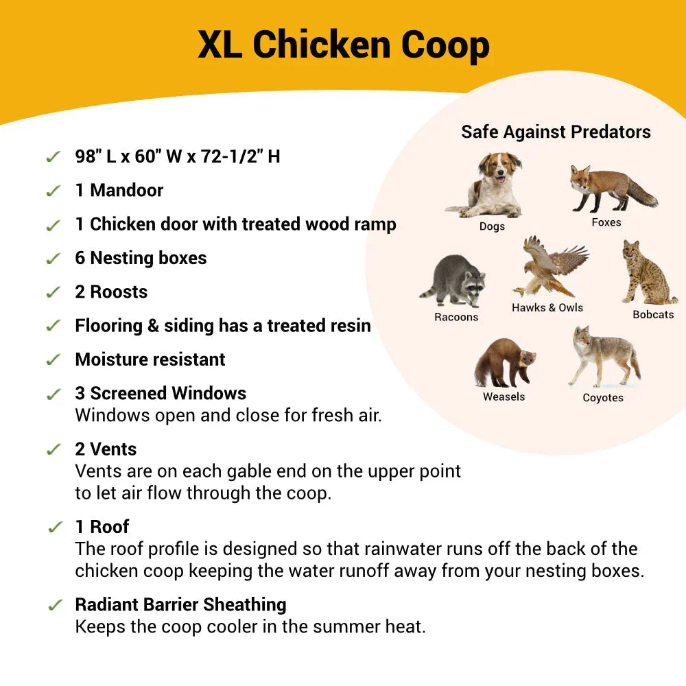 2026 XL Chicken Coop - Up to 20 Chickens