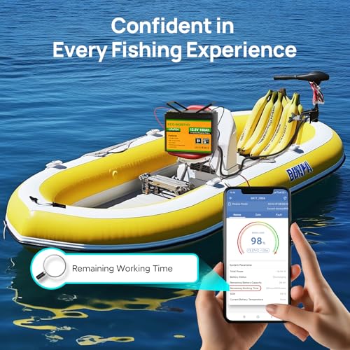 2026 12V 100AH LiFePO4 Lithium Battery with Bluetooth, Max.1280Wh Energy, Low Temperature Protection, Group 24, Built-in 100A BMS, Perfect for Trolling Motor, RV, Boat, Solar Off-Grid