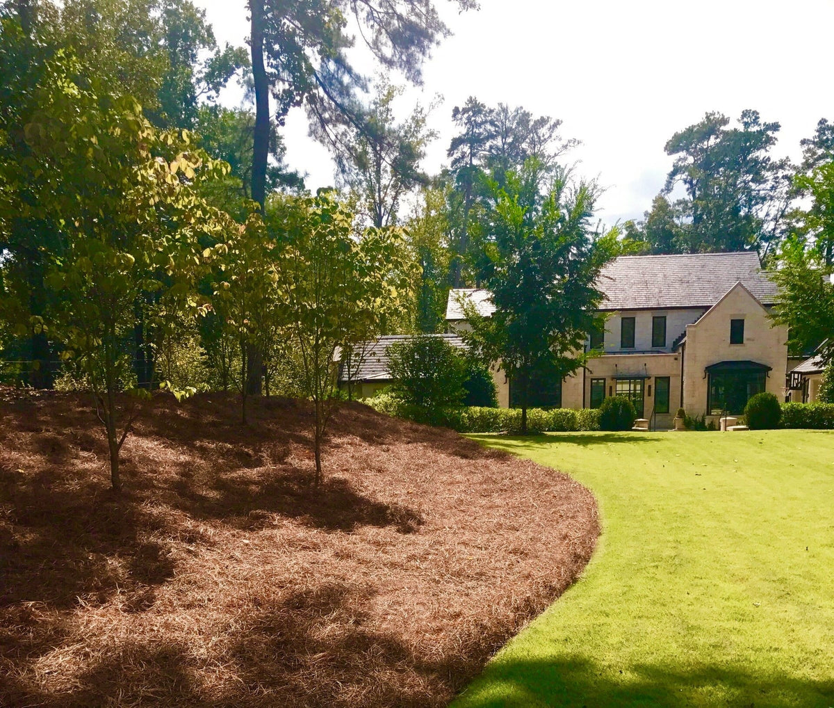 2026 NewPremium Long Needle | Pine Straw Mulch | 300 Sqft