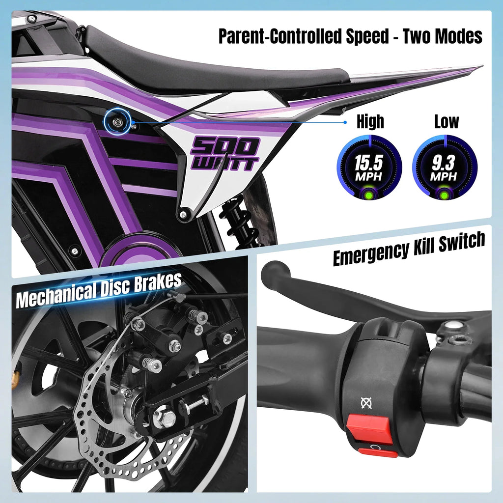 2026 NewQEASET electric dirt bike, 500W kids dirt bike for Boys Girls Age 8-14, Blue
