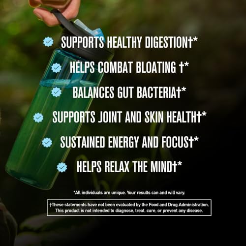 2026 ROUNDHOUSE PROVISION Morning Kick, Zero Sugar Greens Superfood Powder Supplement with Ashwagandha, Collagen, Probiotics, Debloat Drink, 30 Servings (Strawberry Lemonade) by Chuck Norris