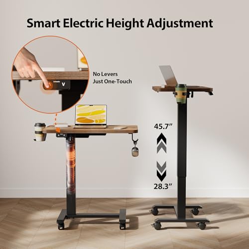 2026 Agilestic Electric Standing Desk, 48 x 24 Inches Height Adjustable Desk, Sit Stand up for Work Office Home, Ergonomic Rising Computer Table with Memory Preset, Rustic Brown