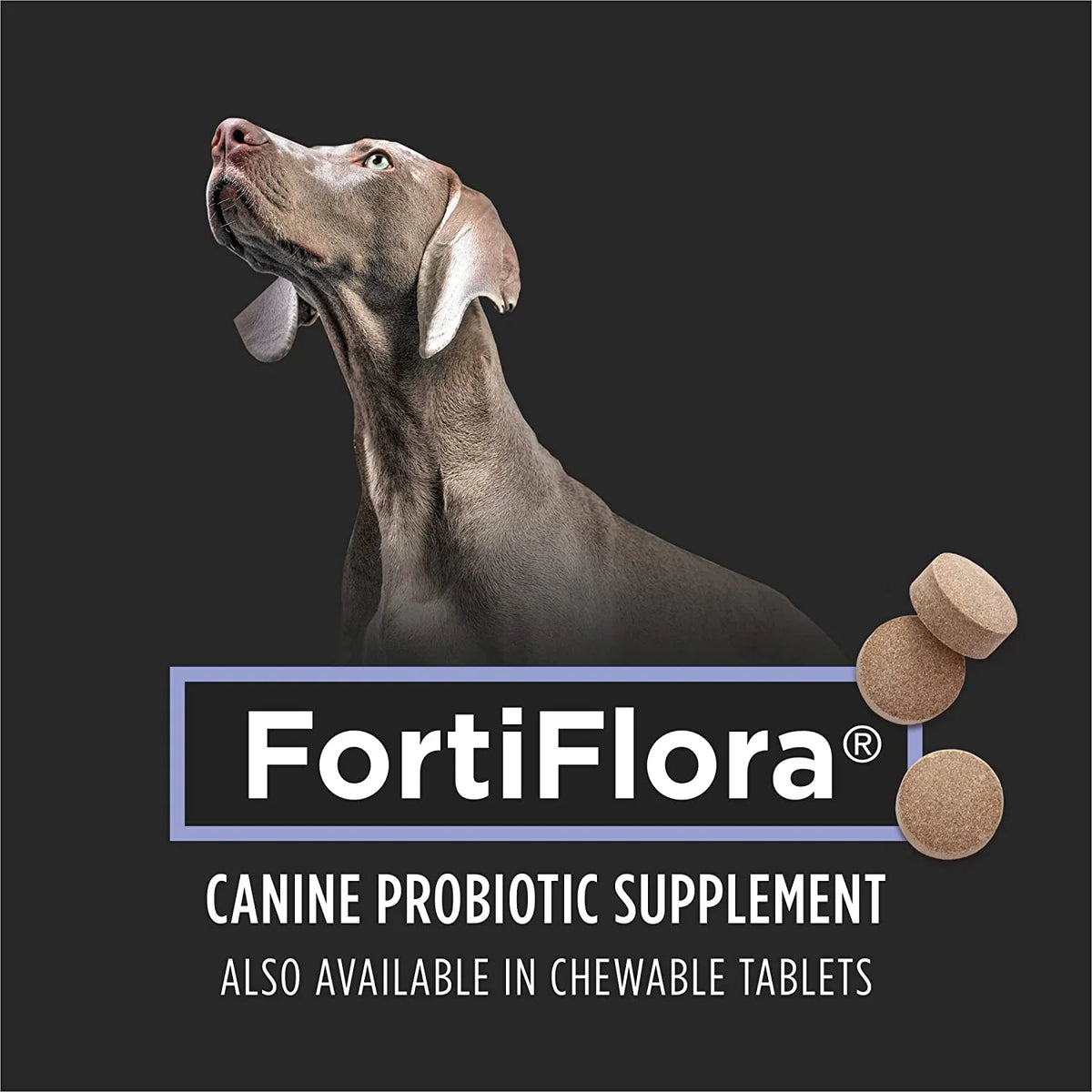 2026 Pro Plan Veterinary Supplements FortiFlora Dog Probiotic Supplement, Canine Nutritional Supplement - (1) 30 ct. Boxes
