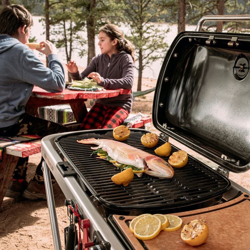 2026 TRAVELER PORTABLE GAS GRILL