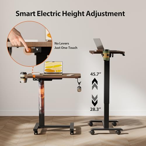 2026 Agilestic Electric Standing Desk, 48 x 24 Inches Height Adjustable Desk, Sit Stand up for Work Office Home, Ergonomic Rising Computer Table with Memory Preset, Rustic Brown
