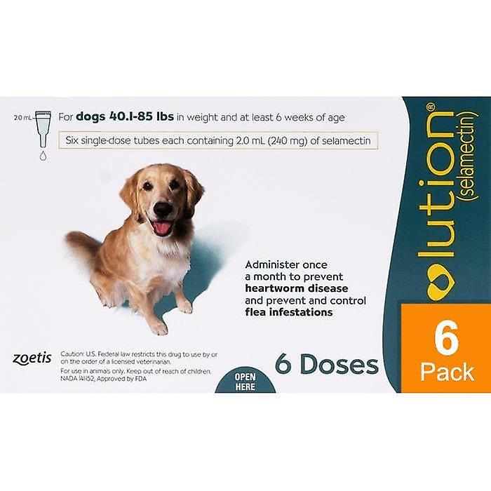 2026 Revolution For Dogs 44-88lbs (20-40kg) – 6 Pack