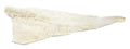 2026 Bacalao - Baccala Dried Salt Cod Without Bone - Approximately 2.5 Lb. - Excellent Filets by Italian Market