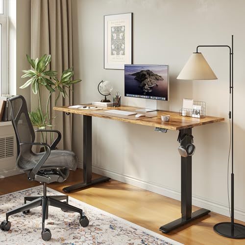 2026 Agilestic Electric Standing Desk, 48 x 24 Inches Height Adjustable Desk, Sit Stand up for Work Office Home, Ergonomic Rising Computer Table with Memory Preset, Rustic Brown