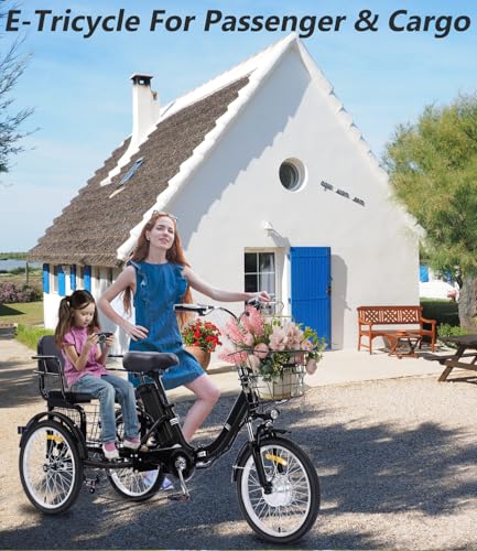 2026 Adult Electric Tricycle Adult Tricycle 3 Wheel Bikes Adults Electric Three Wheel Bike