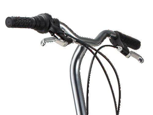2026 Loop Adult Folding Bike for Men and Women, 20-inch Wheels, 7-Speed Drivetrain