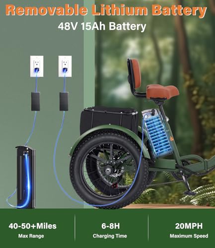 2026 Adult Electric Tricycle Adult Tricycle 3 Wheel Bikes Adults Electric Three Wheel Bike
