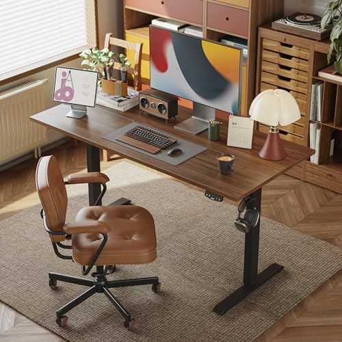 2026 Agilestic Electric Standing Desk, 48 x 24 Inches Height Adjustable Desk, Sit Stand up for Work Office Home, Ergonomic Rising Computer Table with Memory Preset, Rustic Brown