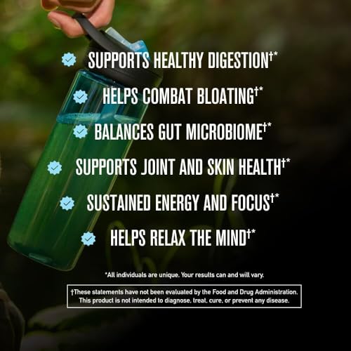 2026 ROUNDHOUSE PROVISION Morning Kick, Zero Sugar Greens Superfood Powder Supplement with Ashwagandha, Collagen, Probiotics, Debloat Drink, 30 Servings (Strawberry Lemonade) by Chuck Norris