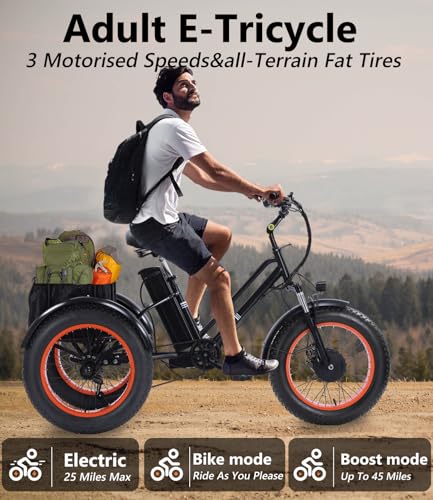 2026 Adult Electric Tricycle Adult Tricycle 3 Wheel Bikes Adults Electric Three Wheel Bike