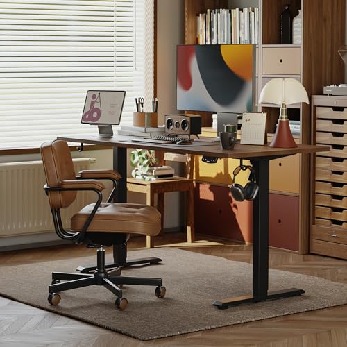 2026 Agilestic Electric Standing Desk, 48 x 24 Inches Height Adjustable Desk, Sit Stand up for Work Office Home, Ergonomic Rising Computer Table with Memory Preset, Rustic Brown