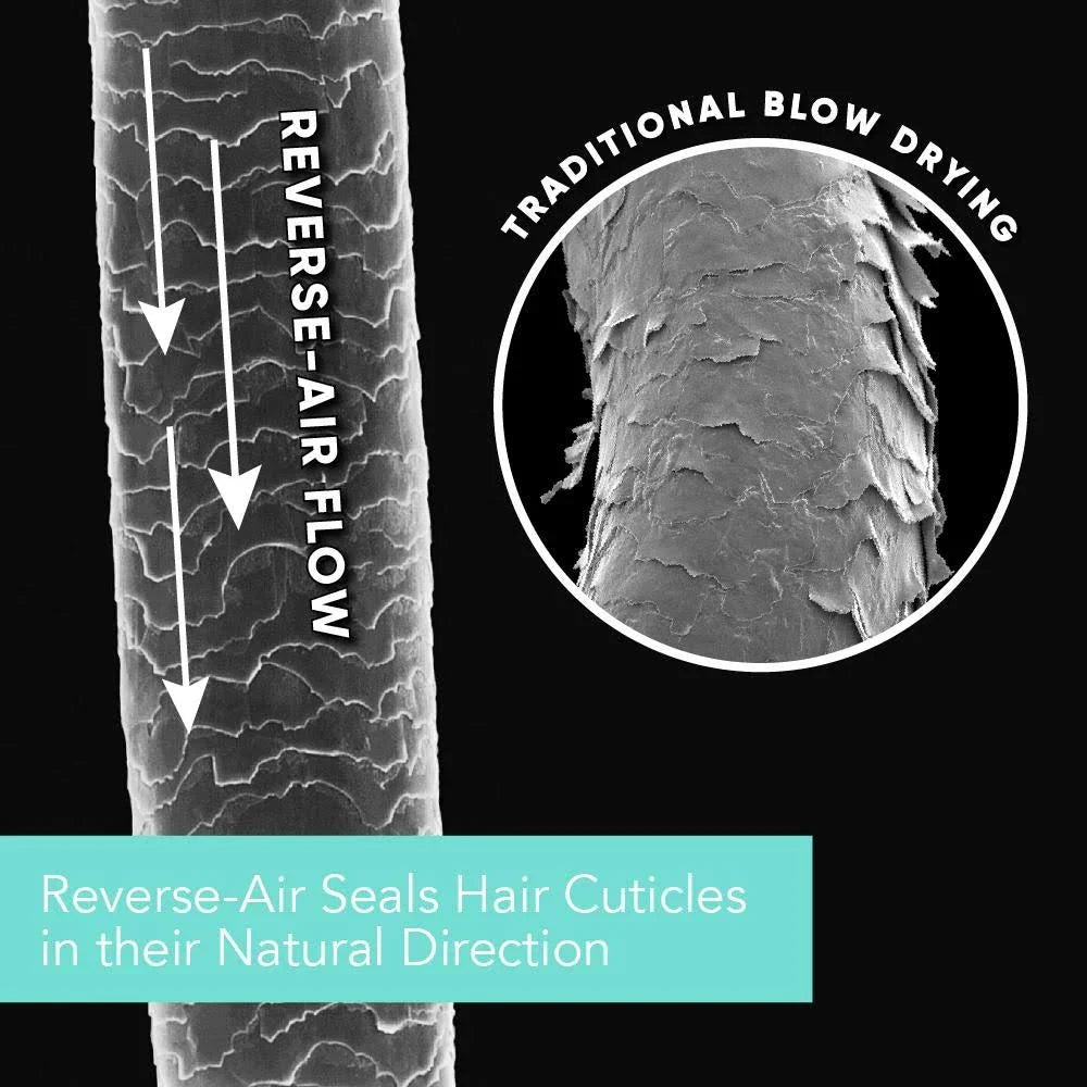 2026 Reverse-Air Hair Dryer | Total Package