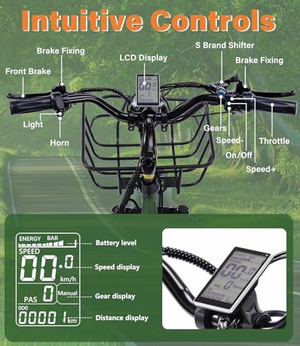2026 Adult Electric Tricycle Adult Tricycle 3 Wheel Bikes Adults Electric Three Wheel Bike